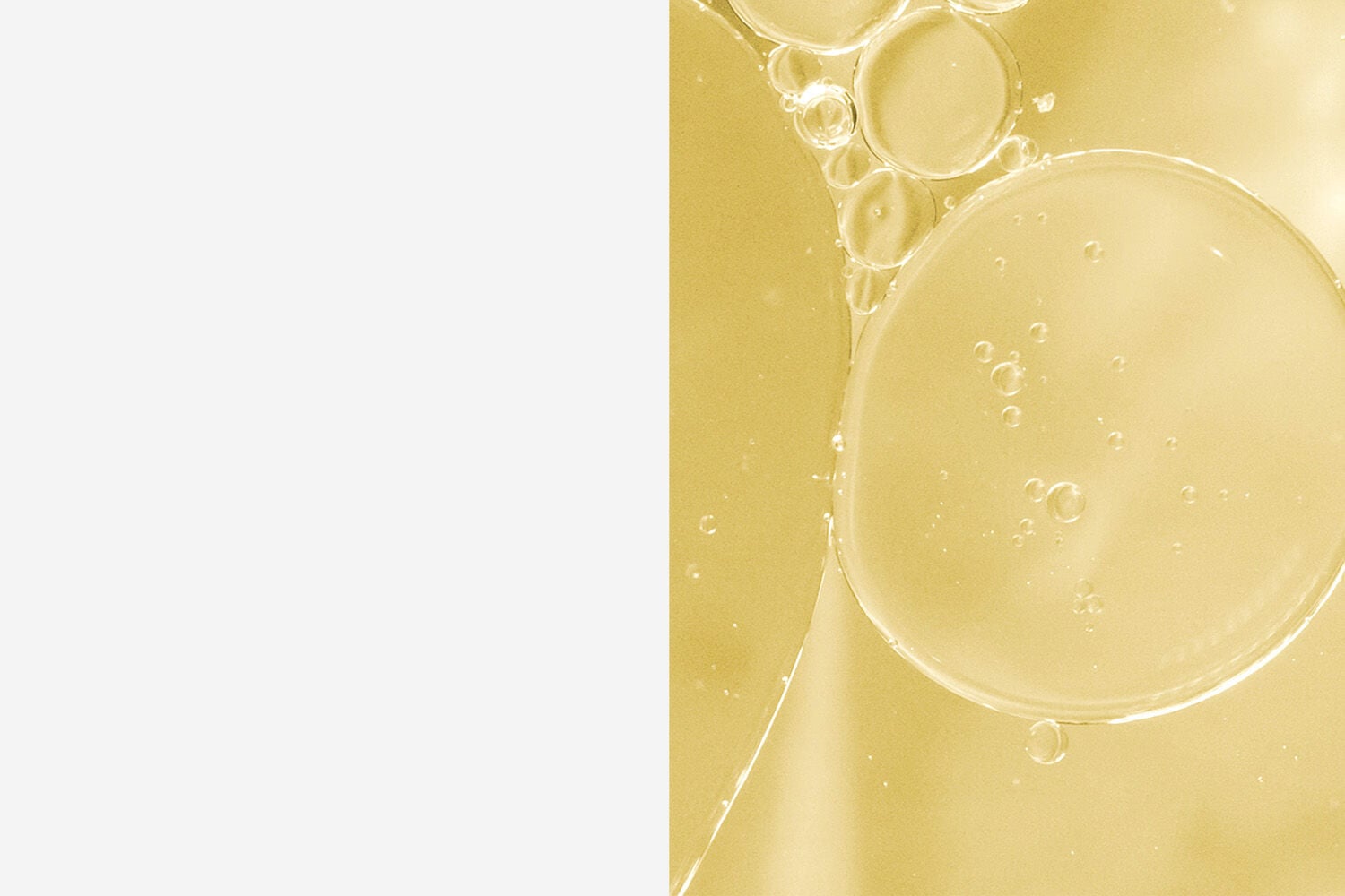 product-Ingredients