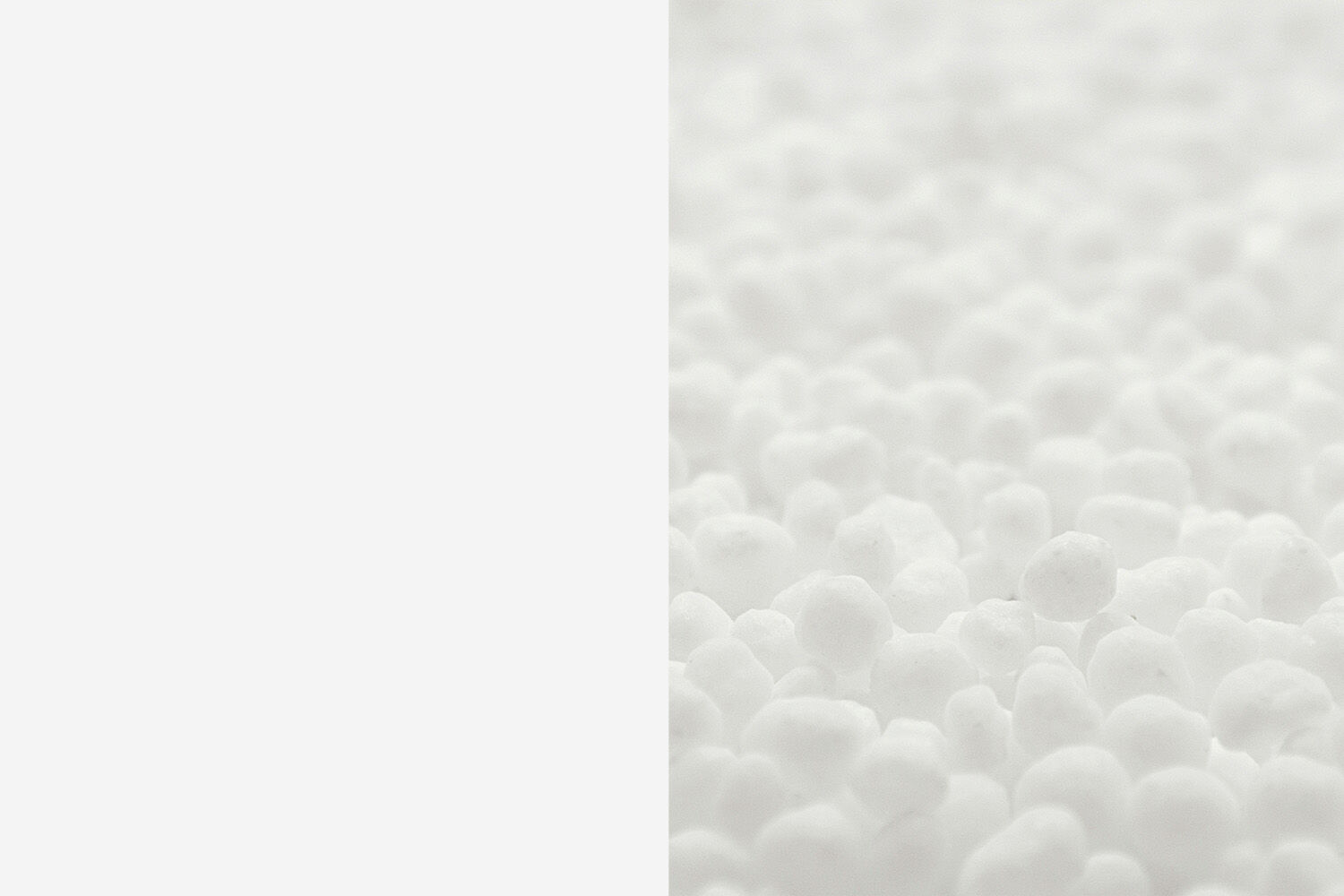 product-Ingredients