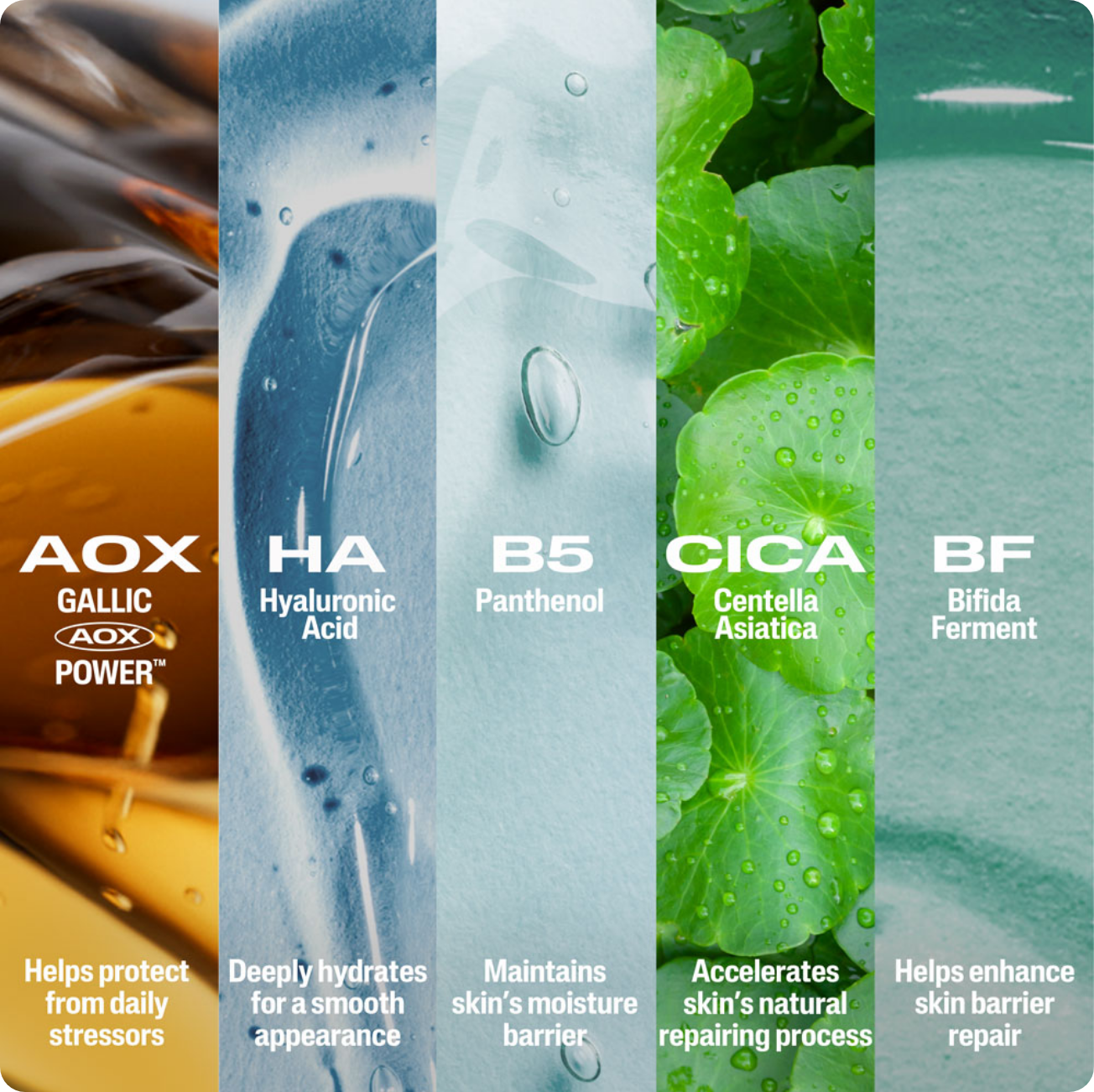 Repair & Renew Serum